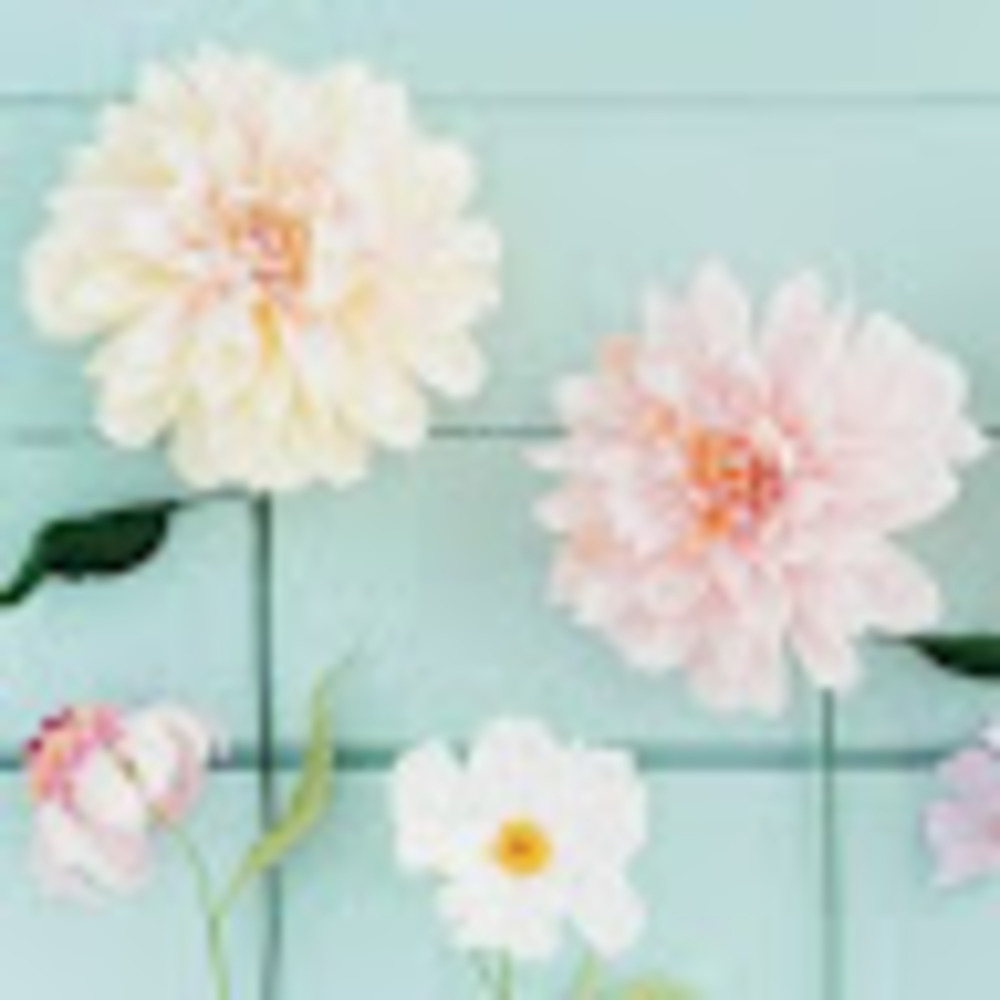 Meet your Posher, Susan